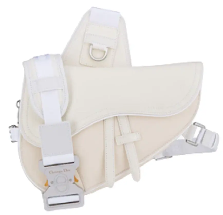 Túi Dior Mini And Sacai Saddle Bag 1ADCA374USC-H60E