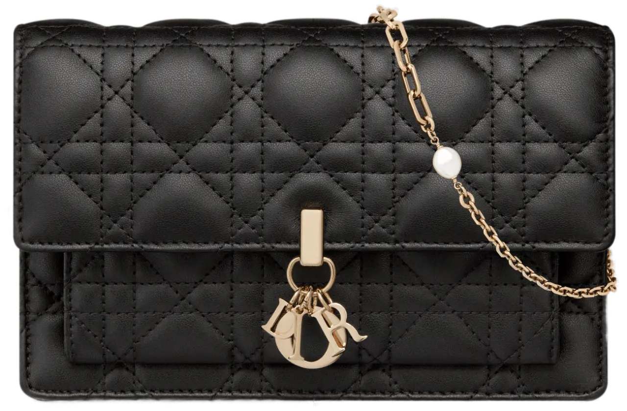 Túi Dior Lady Dior Chain Pouch 'Black' S0937ONMJ-M900