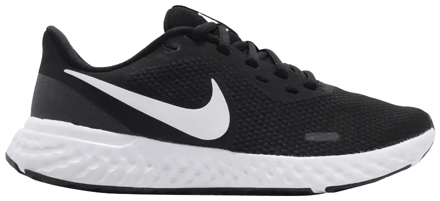 Giày Nike Wmns Revolution 5 'Anthracite' BQ3207-002