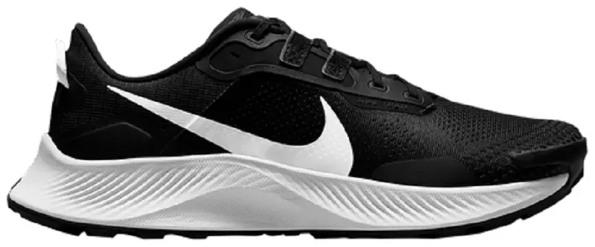 Giày Nike Pegasus Trail 3 'Black Pure Platinum' DA8697-001