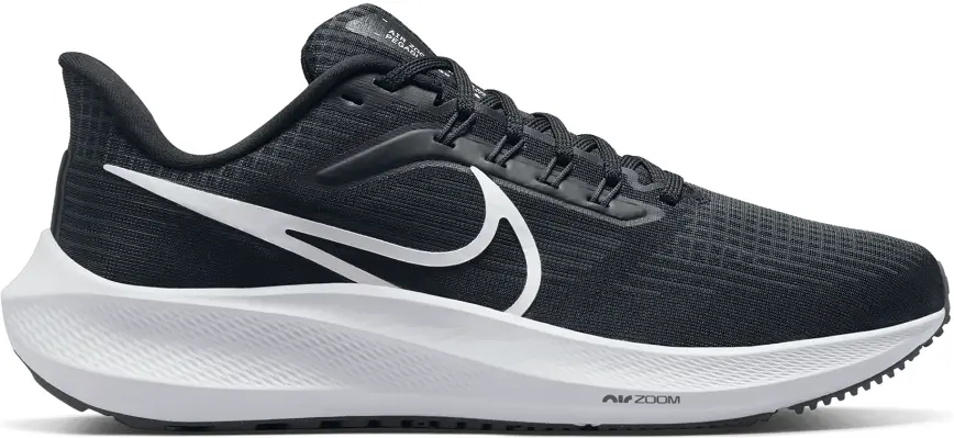 Giày Nike Pegasus 39 'Dark Smoke' DH4072-001