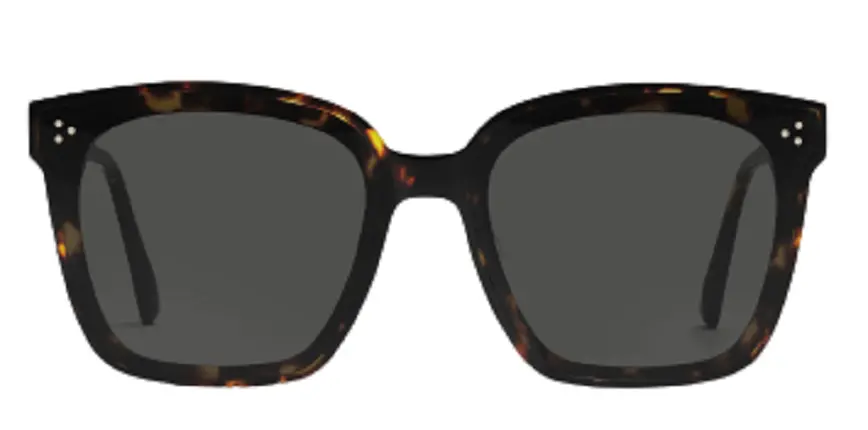Kính Gentle Monster Dreamer 17 T1