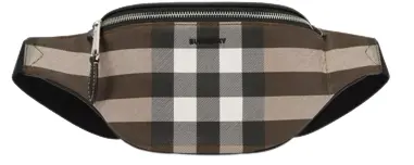Túi Burberry Mini Check and Leather Bum Bag 'Dark Birch Brown' p80507971