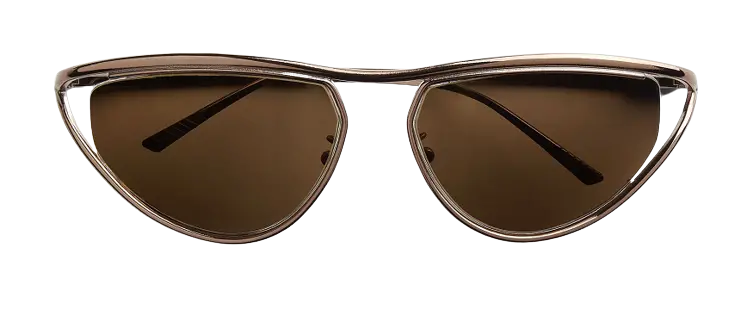 Kính Bottega Veneta Outline 'Brown' 659457V44502069