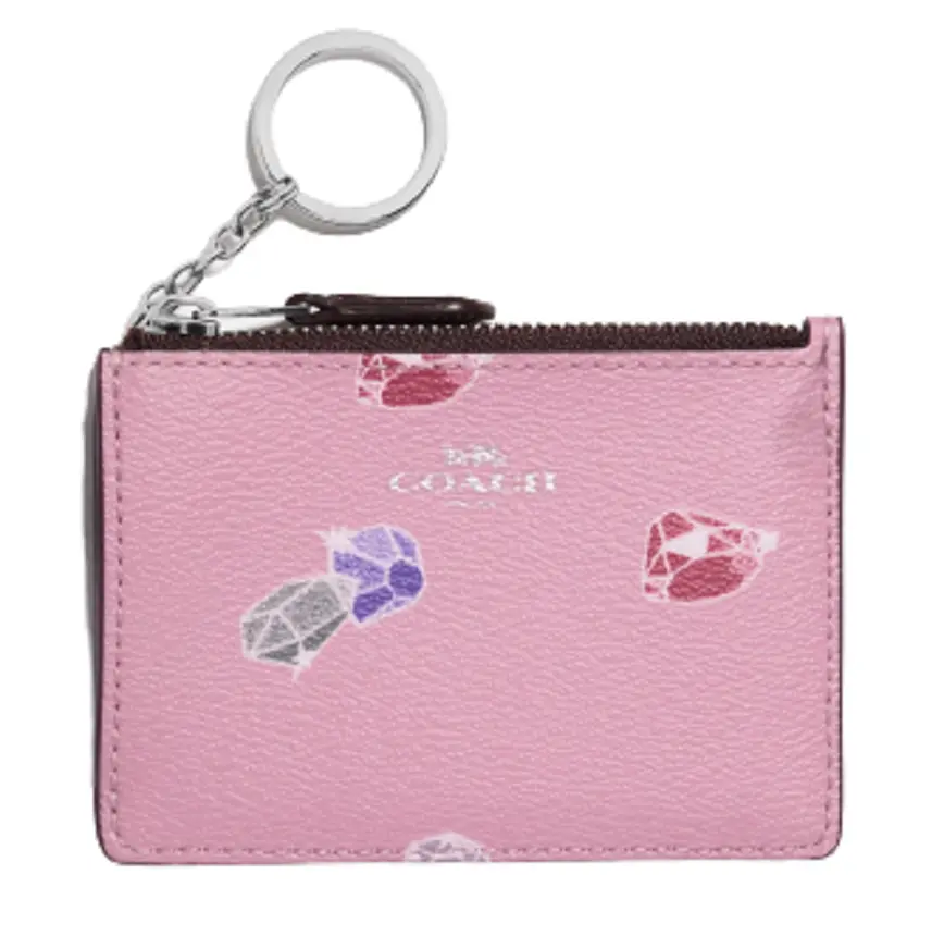 VÍ Disney Coach Mini Skinny ID Case LLDFON4JAA