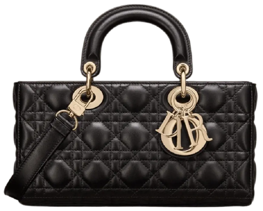Túi Dior Lady D-Joy Bag 'Gold Black' M0540ONGE-M900