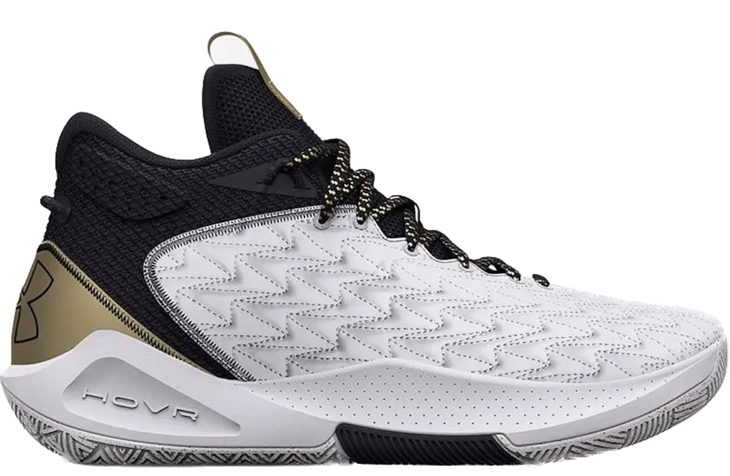 Giày Under Armour HOVR Havoc 5 Clone 'White Black' 3025605-100