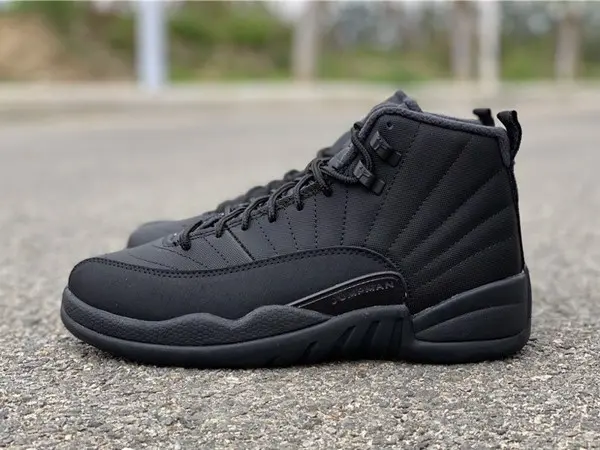 10 Điều có thể bạn sẽ chẳng bao giờ biết về Jordan 12