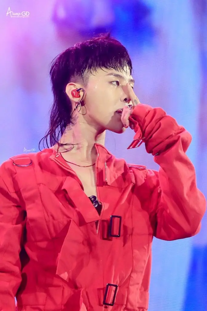 mullet-dau-cat-moi-la-cai-gi-the