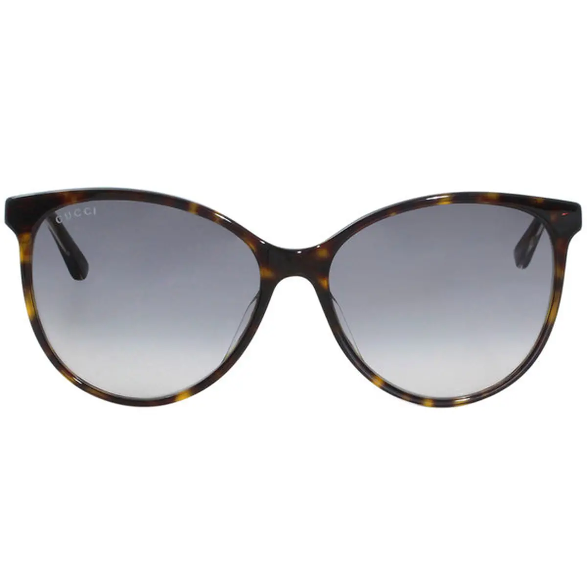 Kính Havana Grey Gradient GG0377SK-002