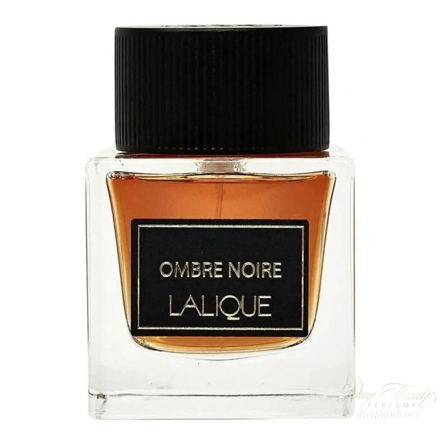 Nước Hoa Lalique Ombre Noire Pour Homme EDP