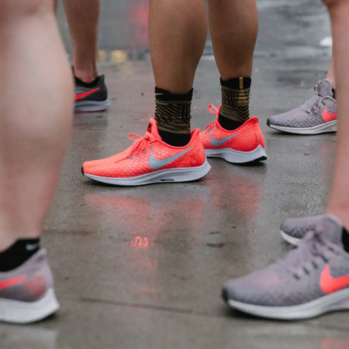 Hinh anh 2: Nike Pegasus: dong giay chay bo voi hieu suat vuot troi