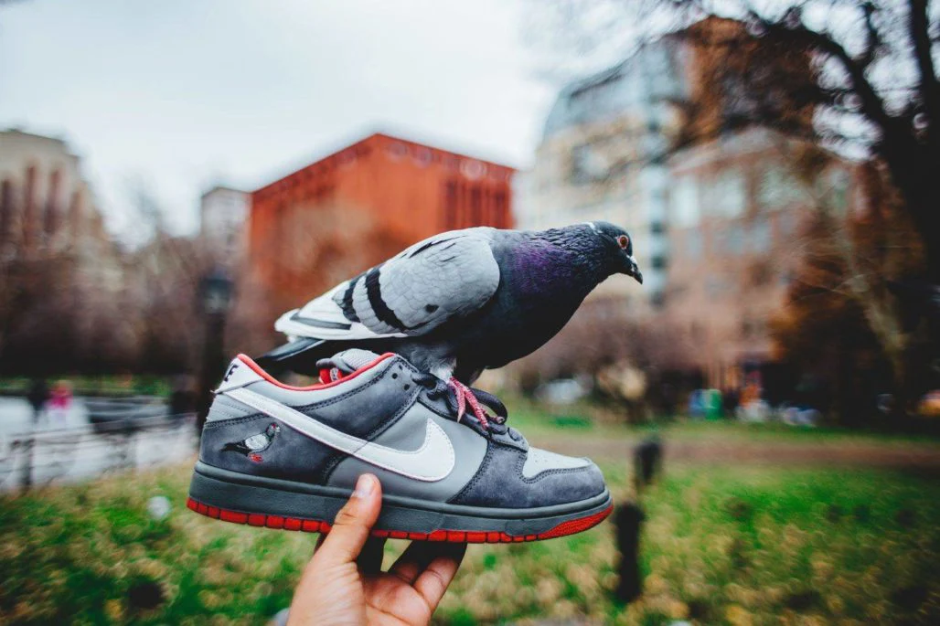 Hinh anh 2: Top 10 phien ban Nike SB Dunk kinh dien nhat moi thoi dai (Phan 1)