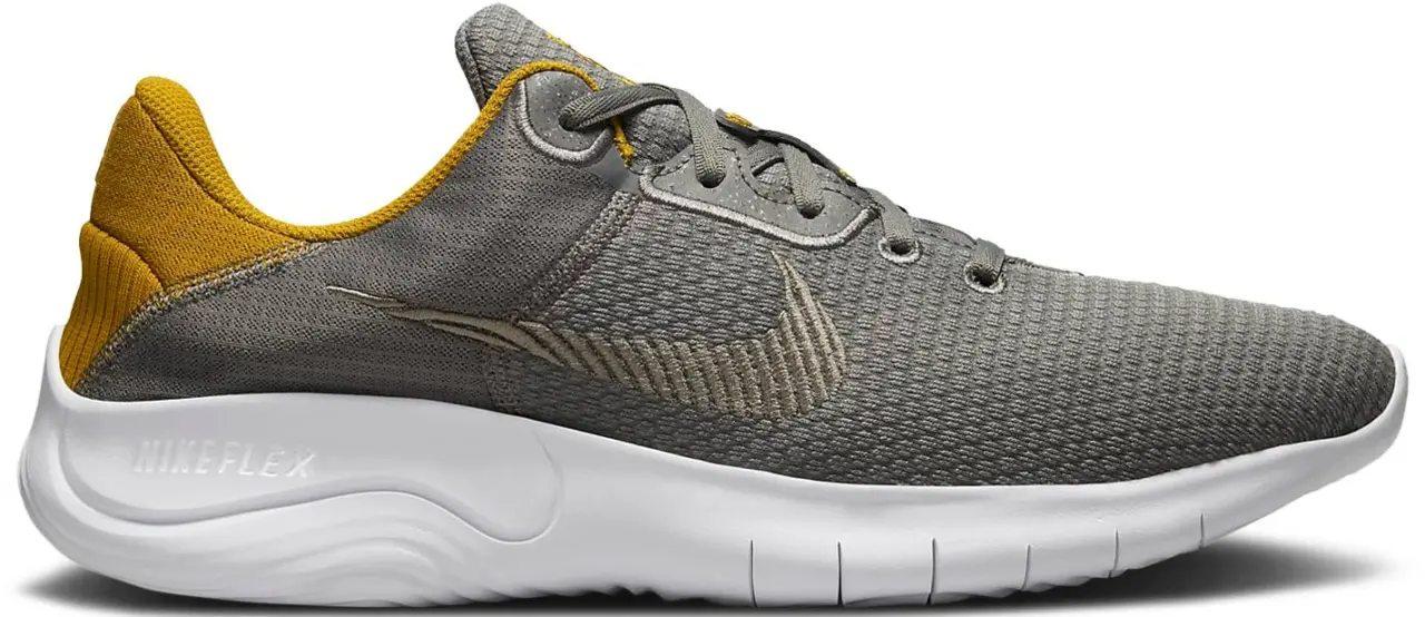 Giày Nike Flex Experience Run 11 'Grey' DD9284-009