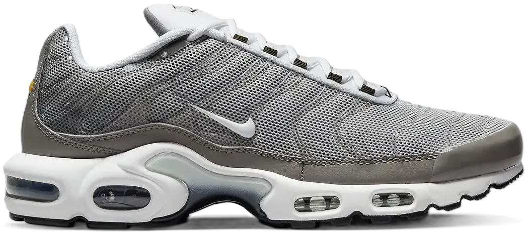 Giày Nike Air Max Plus 'Flat Pewter' DV7665-002