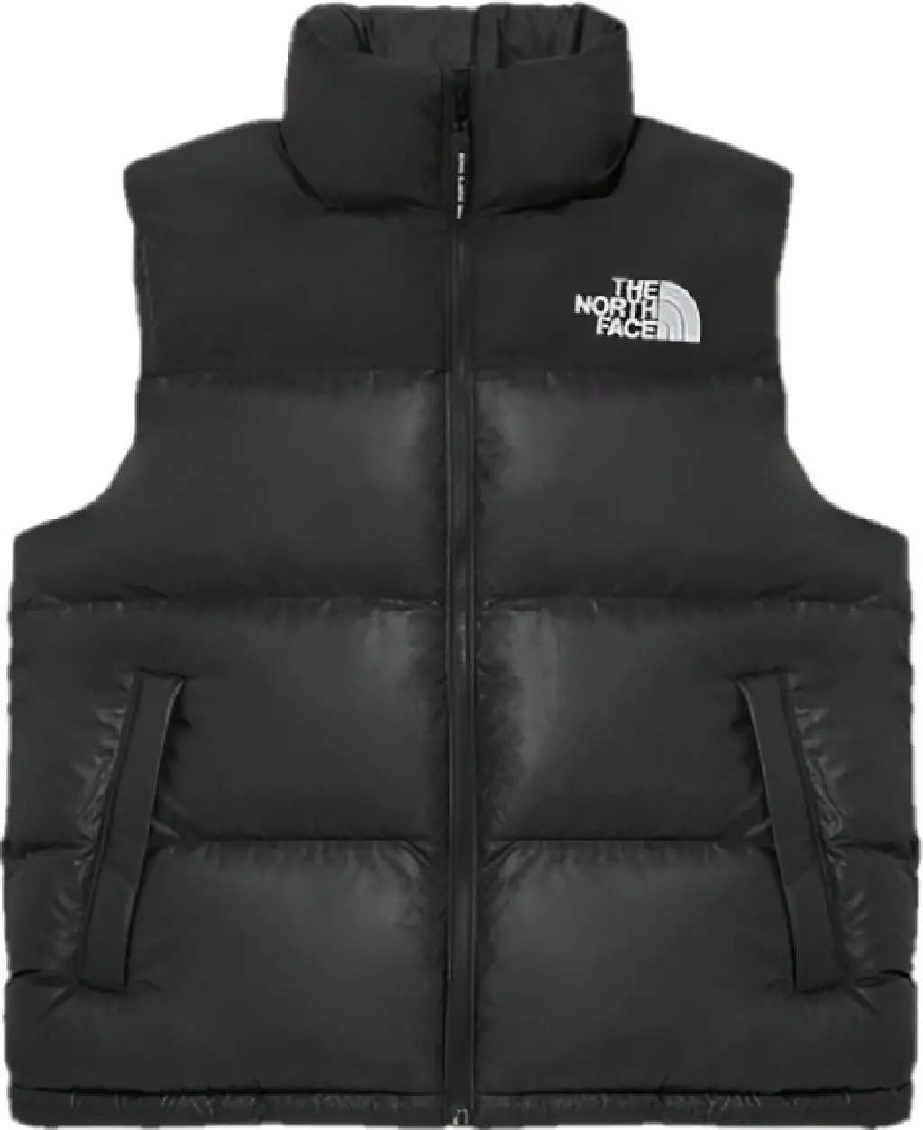 Áo The North Face 'Nuptse On Ball' NV3NP55D
