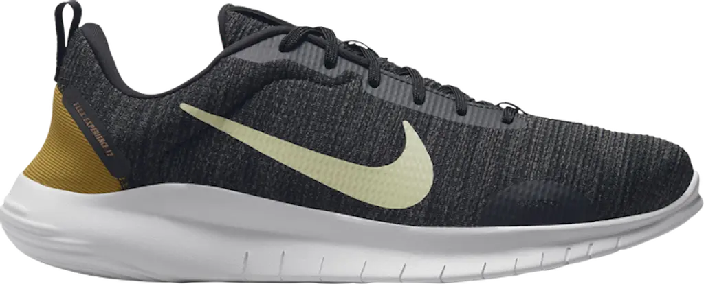 Giày Nike Flex Experience Run 12 'Black Olive' DV0740-002