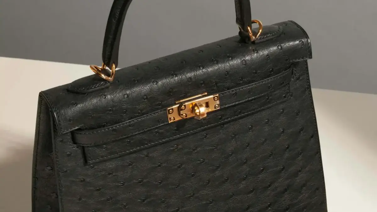 Hinh anh 7: Van de nan giai ve tui xach: Hermes Kelly Sellier hay Retourne?