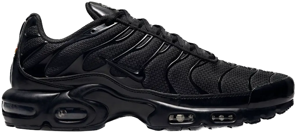Giày Nike Air Max Plus 'Triple Black' 604133-050