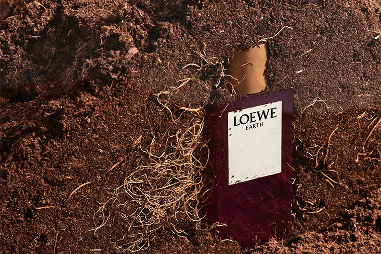 Hinh anh 2: Loewe Earth - su ket hop tinh te cua thien nhien va nghe thuat nuoc hoa