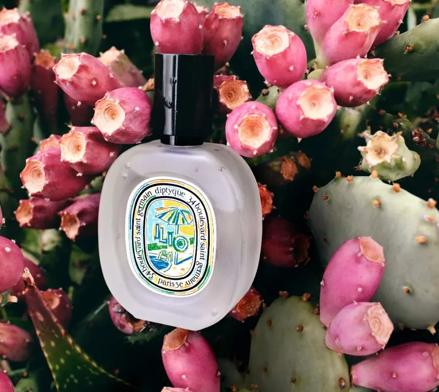Hinh anh 6: Diptyque Summer 2024: Khuc hoan ca mua he day thi vi
