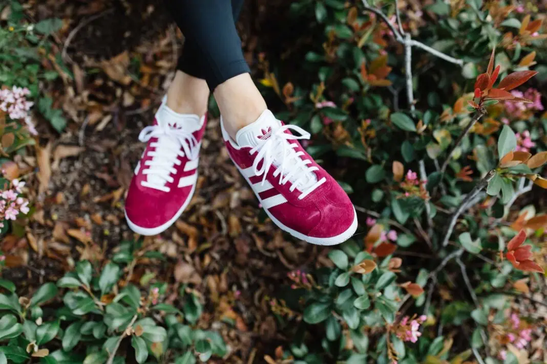 Hinh anh 3: Lich Su Cua Dong Giay Adidas Gazelle