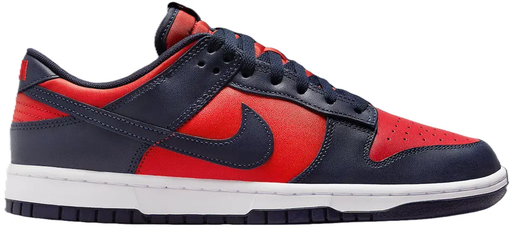Giày Nike Dunk Low CO.JP 'City Attack 2024' DV0833-601