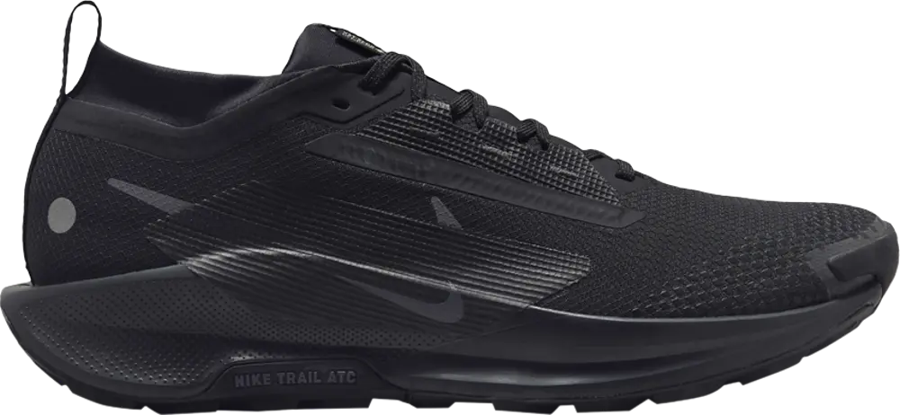 Giày Nike Pegasus Trail 5 GORE-TEX 'Black' FQ0908-002