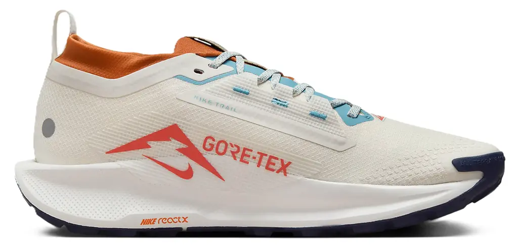 Giày Nike Pegasus Trail 5 GORE-TEX 'Phantom Vintage' FQ0908-003
