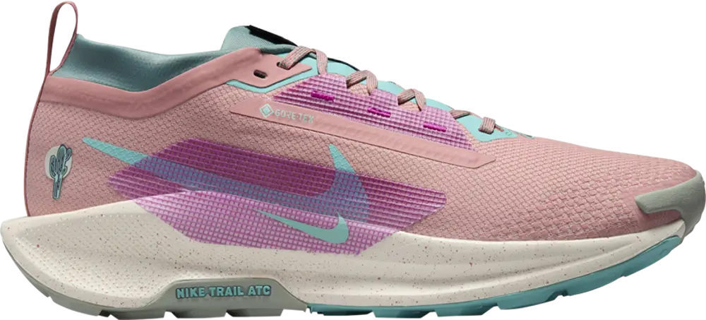 Giày Nike Pegasus Trail 5 GORE-TEX 'Red Stardust' FQ0908-600