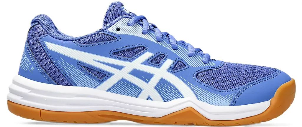 Giày Asics Upcourt 5 'Sapphire' 1072A088-404