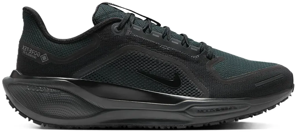 Giày Nike Pegasus 41 Gore-Tex 'Black Anthracite' FQ1356-001