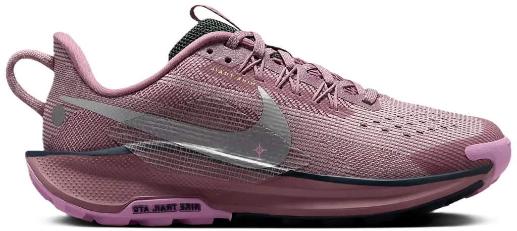 Giày Nike Pegasus Trail 5 GS 'Plum Dust' FV5638-500