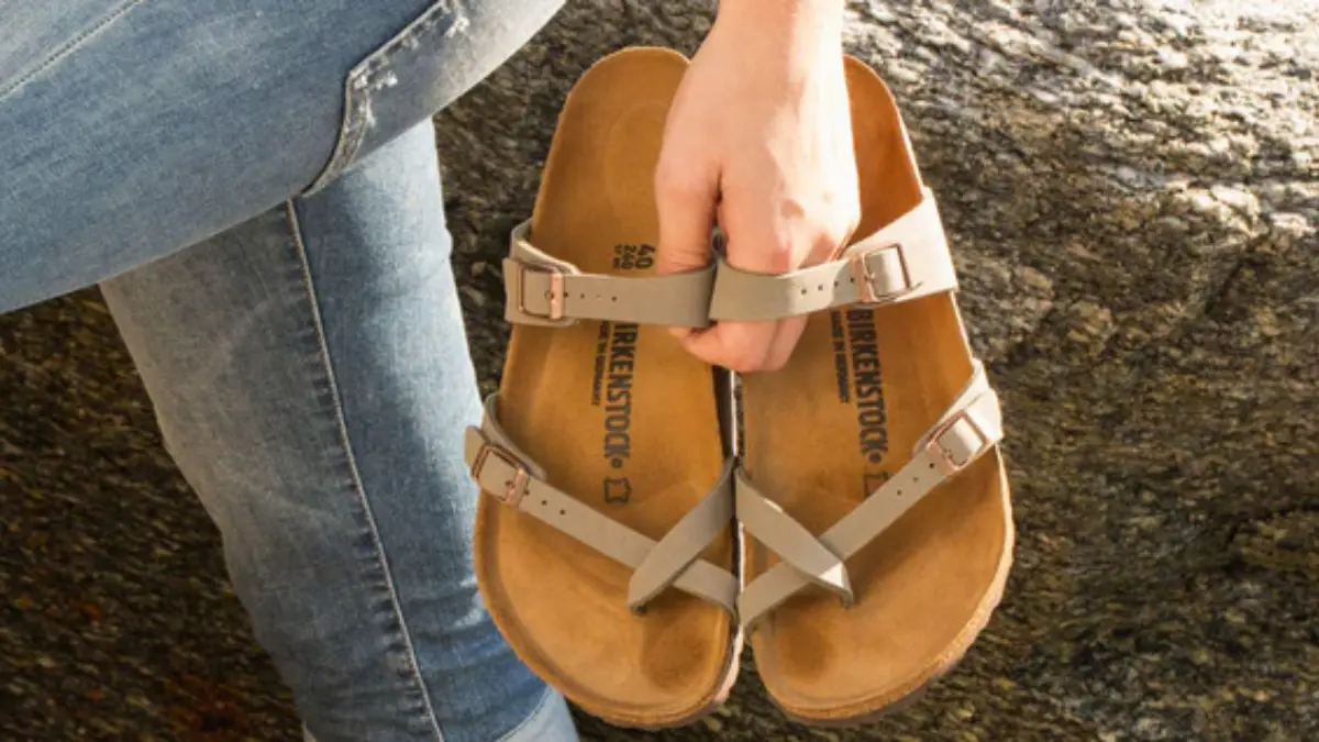 Hinh anh 2: Birkenstock da dong gop the nao vao moi truong ben vung?