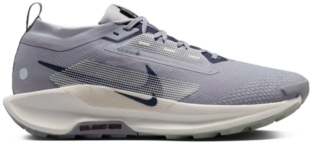 Giày Nike Pegasus Trail 5 Gore-Tex 'Cement Grey' FQ0908-006