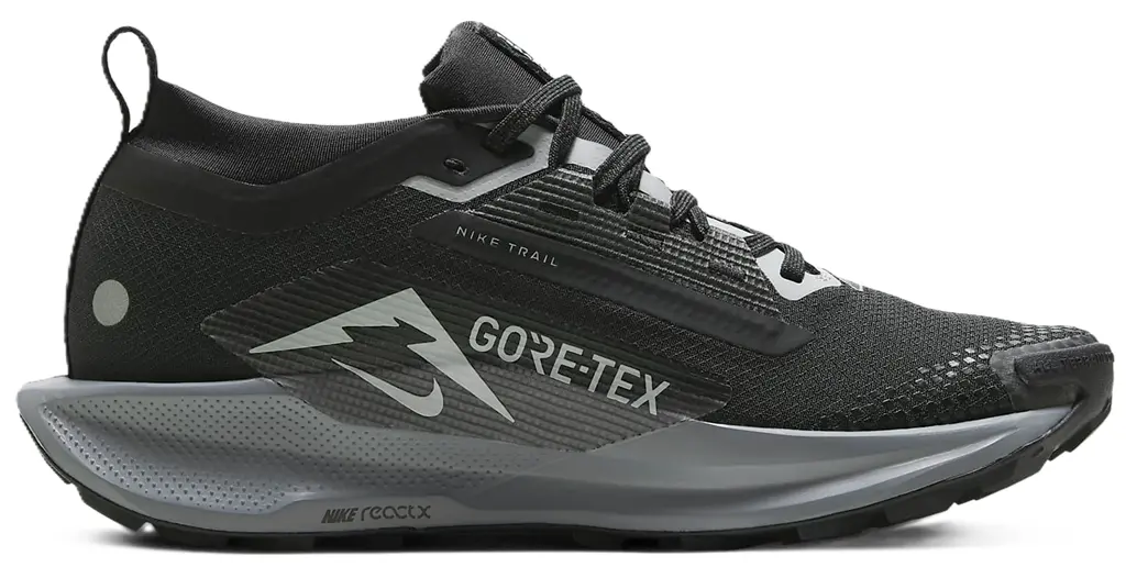 Giày Nike Pegasus Trail 5 Gore-Tex 'Black Wolf Grey' FQ0912-001