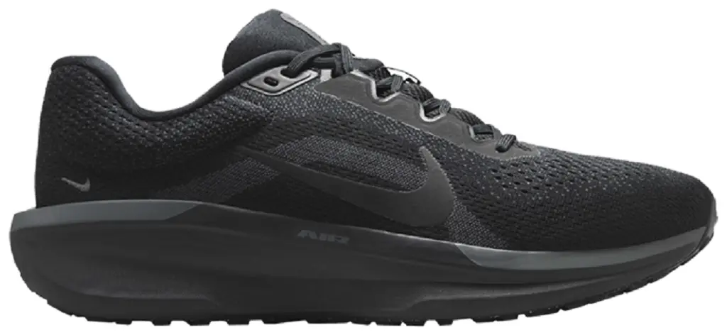 Giày Nike Air Winflo 11 'Black Anthracite' FJ9509-002