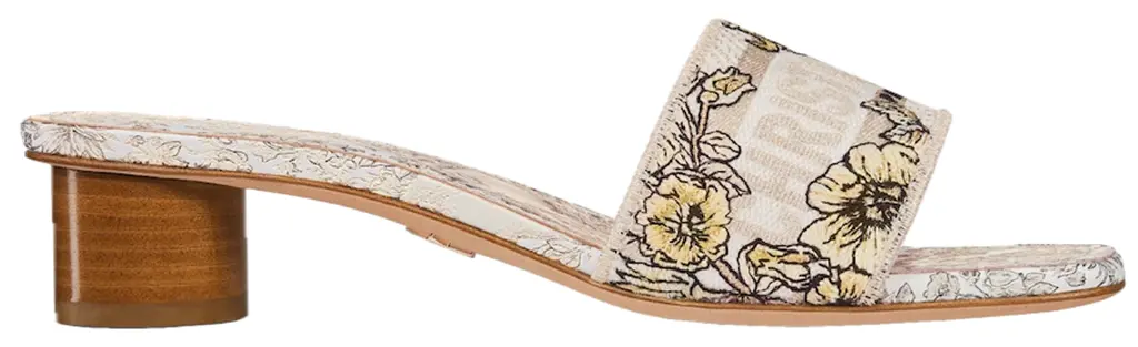Dép Dior Dway Heeled Slide 'Multicolor' KCQ902UEL-S62K