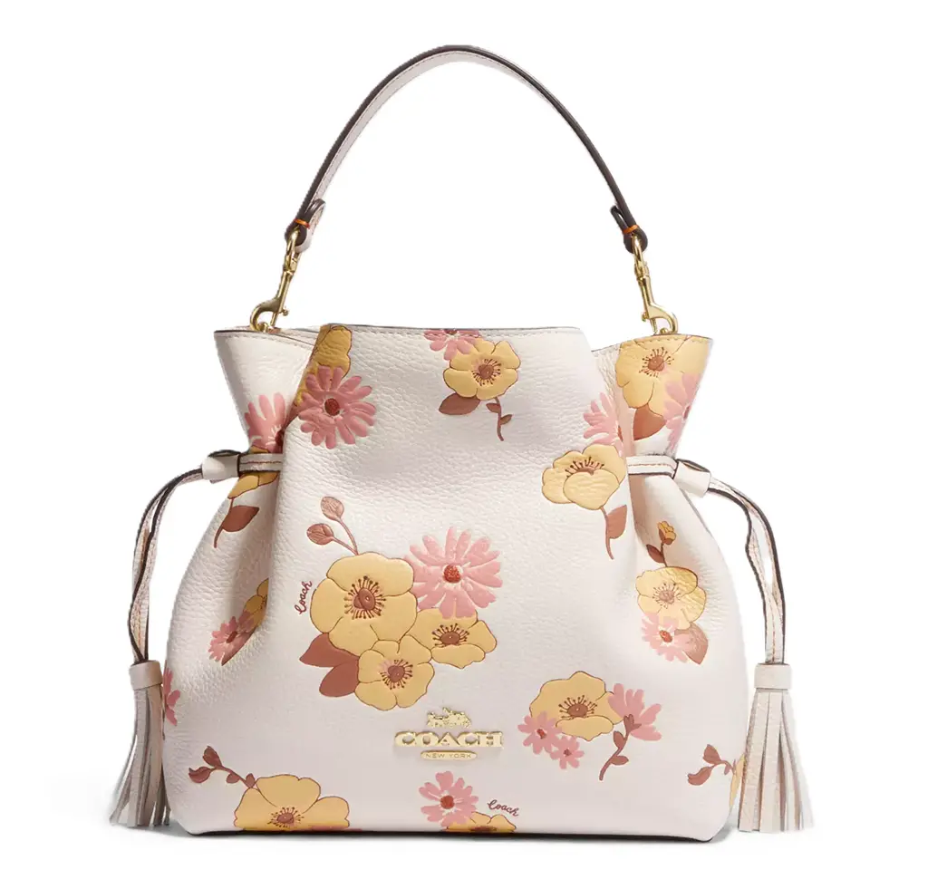 Túi Coach Andy Crossbody With Floral Cluster 'Chalk Multi' CH349-IMCAH