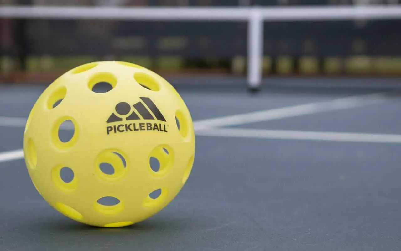 Hinh anh 2: Nhung dung cu Pickleball ban can biet