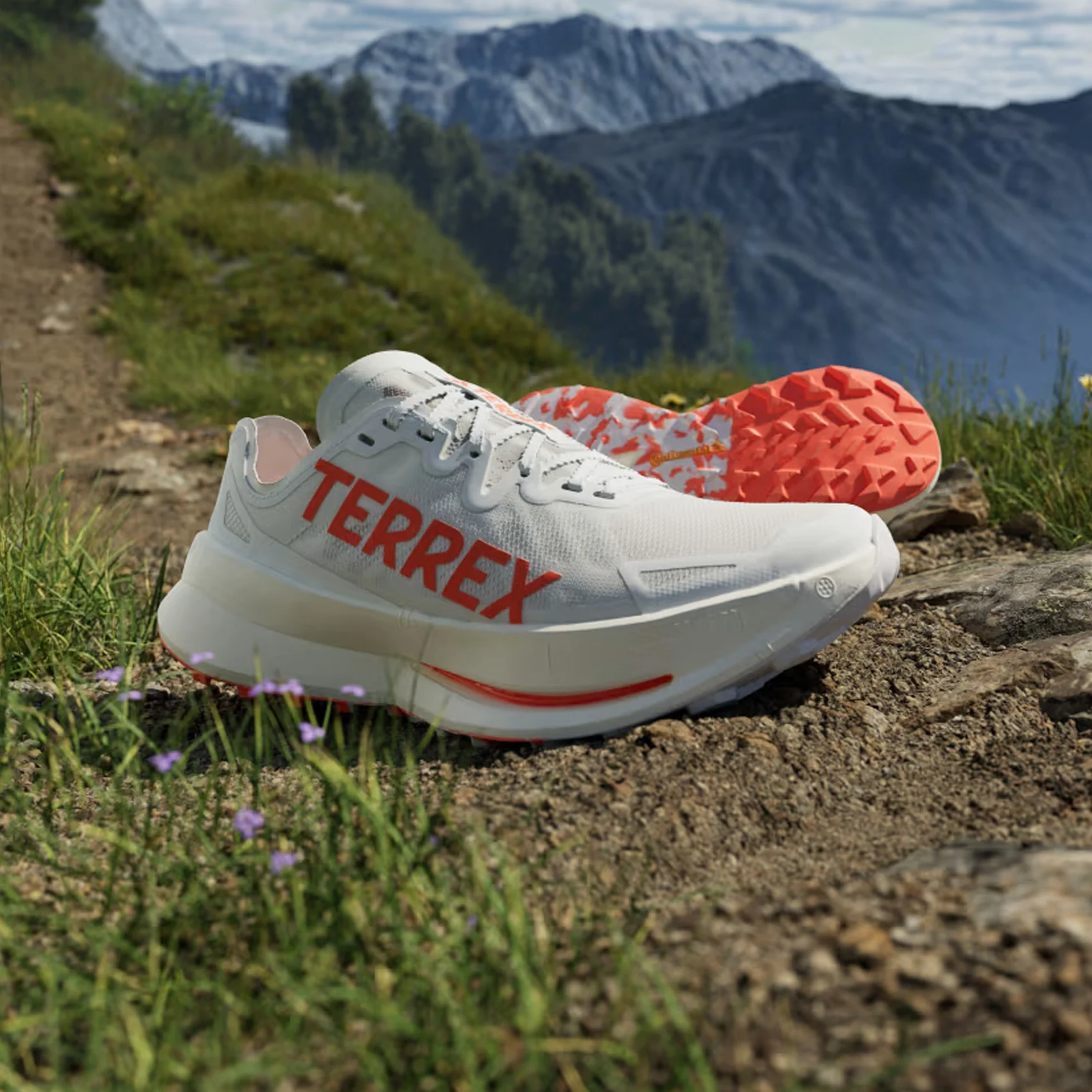 Hinh anh 5: Adidas Terrex Agravic Speed Ultra - Co xung dang mua?
