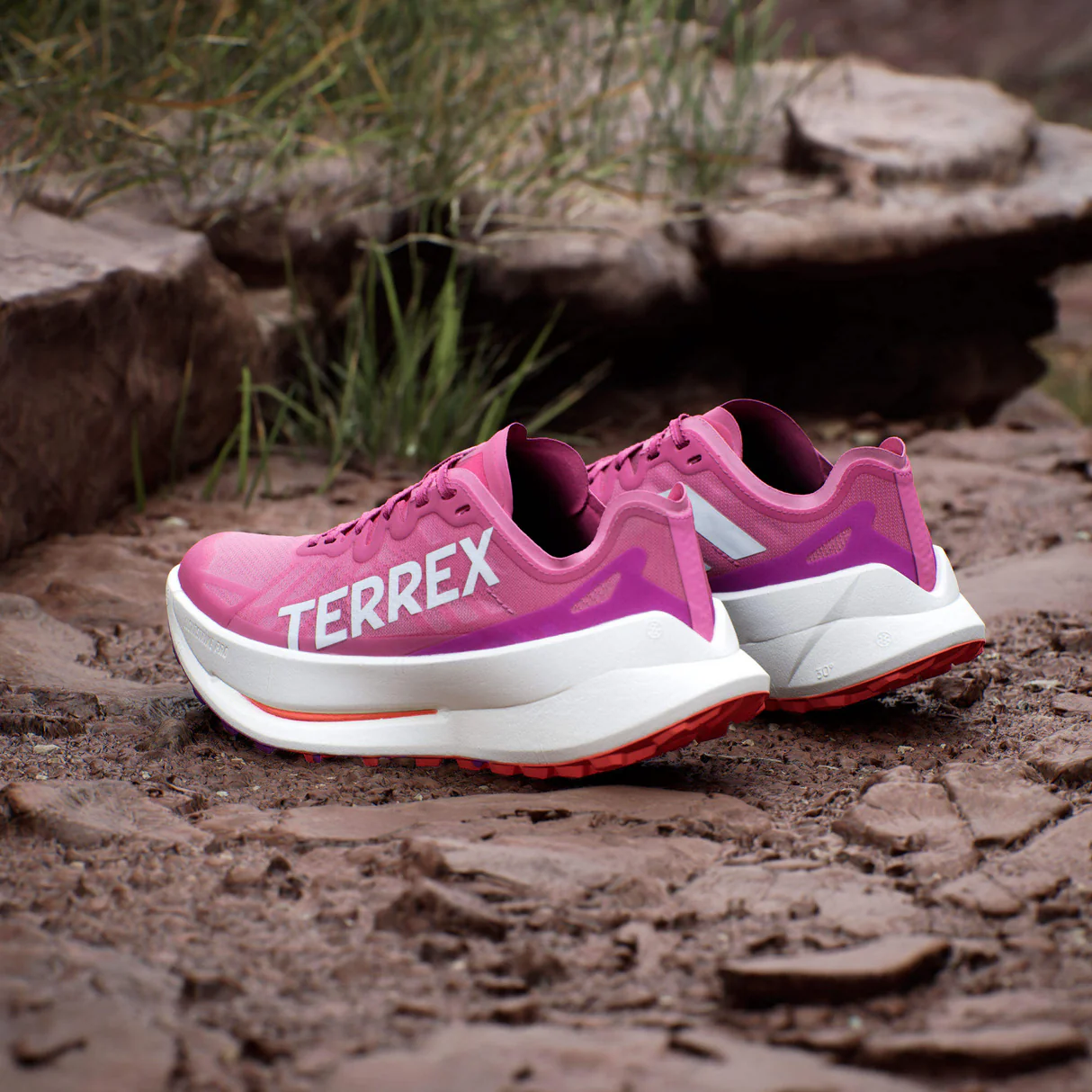 Hinh anh 3: Adidas Terrex Agravic Speed Ultra - Co xung dang mua?