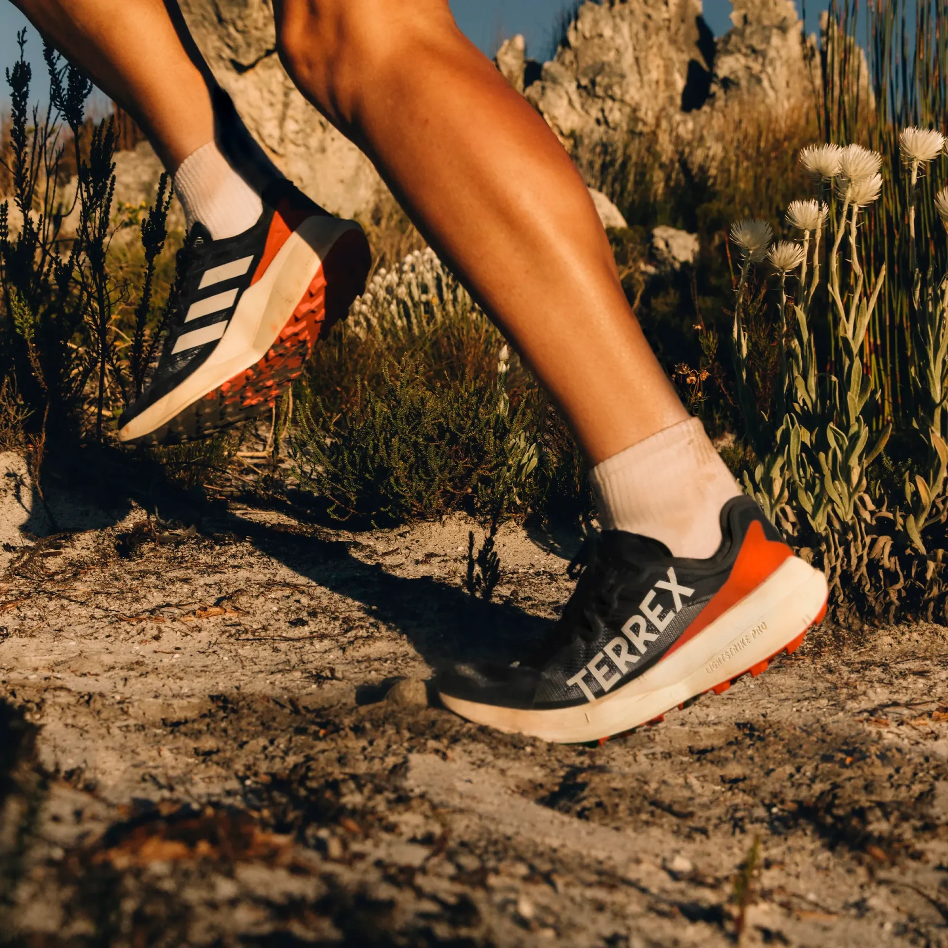 Hinh anh 2: Adidas Terrex Agravic Speed Ultra - Co xung dang mua?