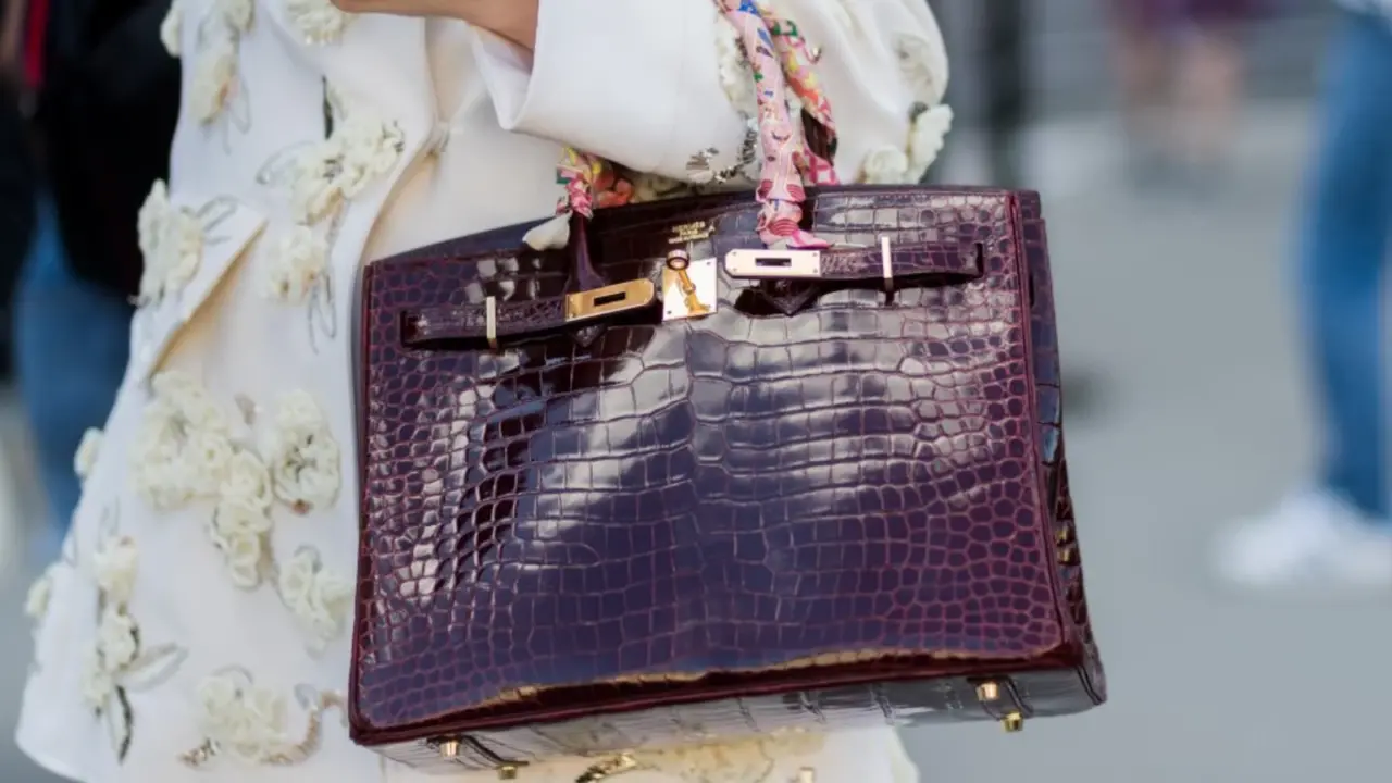 Hinh anh 6: Tui Hermes Birkin - Bieu tuong thoi trang xa xi va su kien nhan