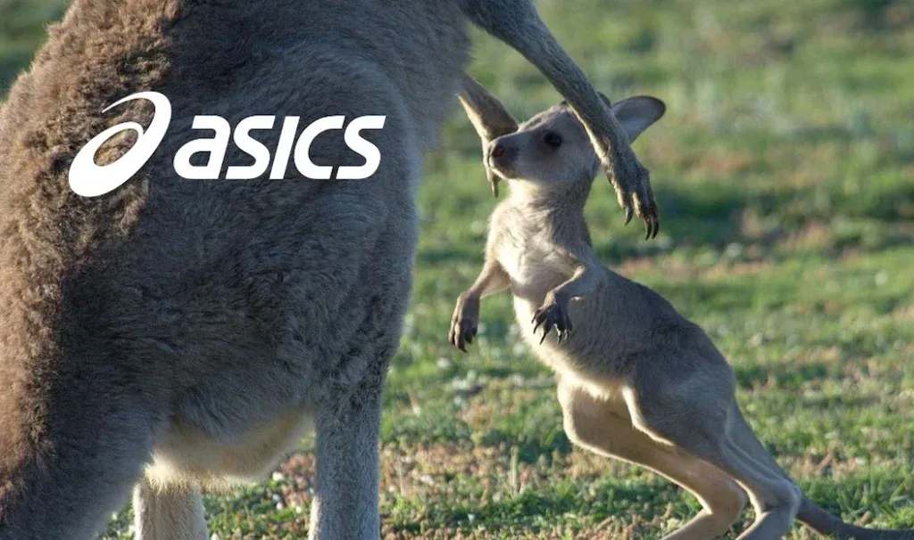 Hinh anh 4: ASICS bat dau tham gia phong trao khong su dung da Kangaroo