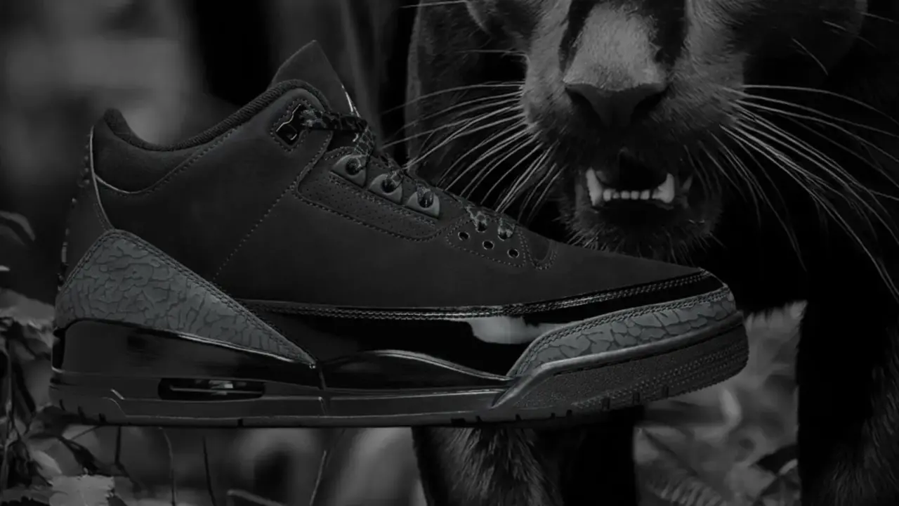 Hinh anh 4: Kham pha toan bo lich su cua Air Jordan ‘Black Cat’