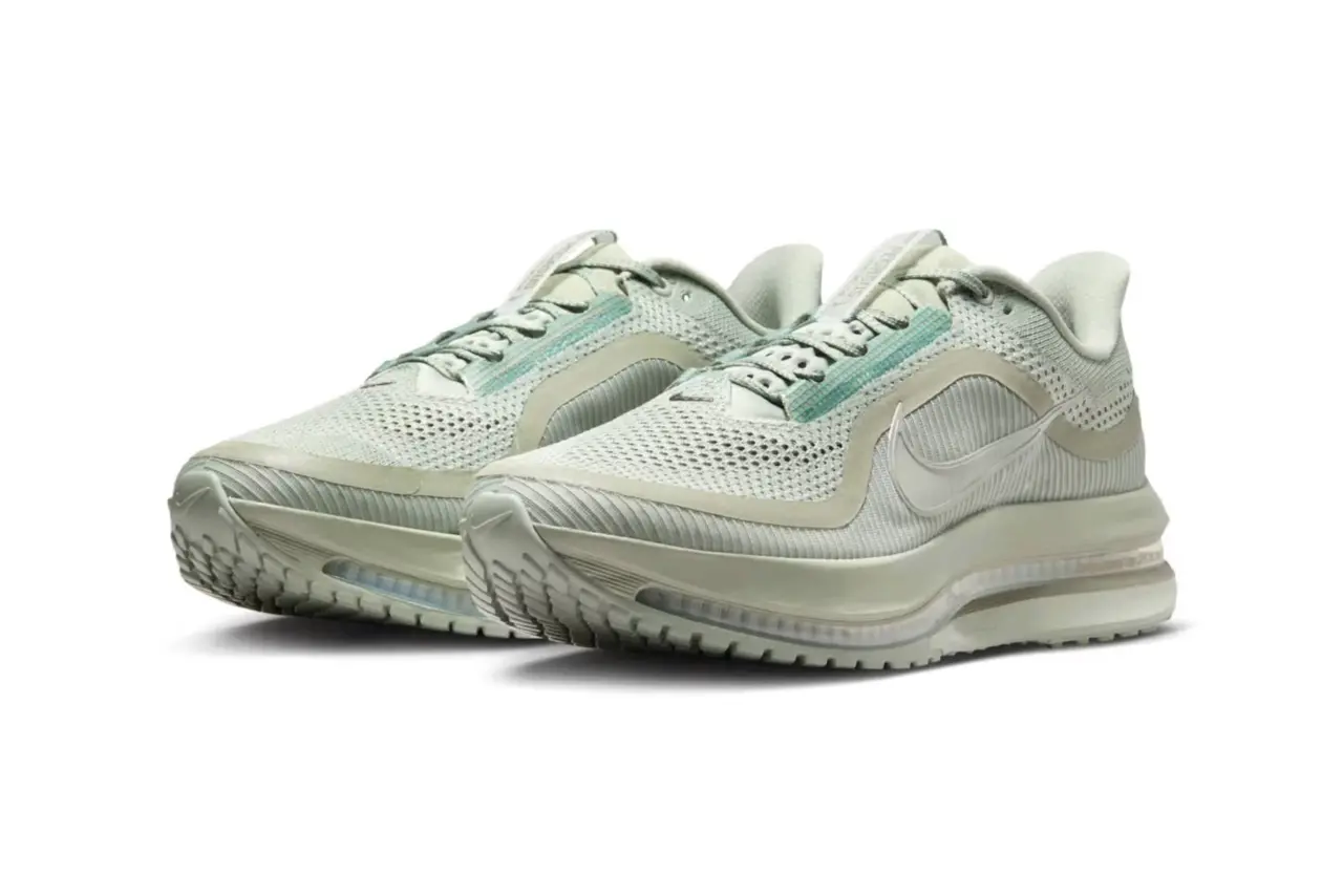 Chi tiết Nike Pegasus Premium