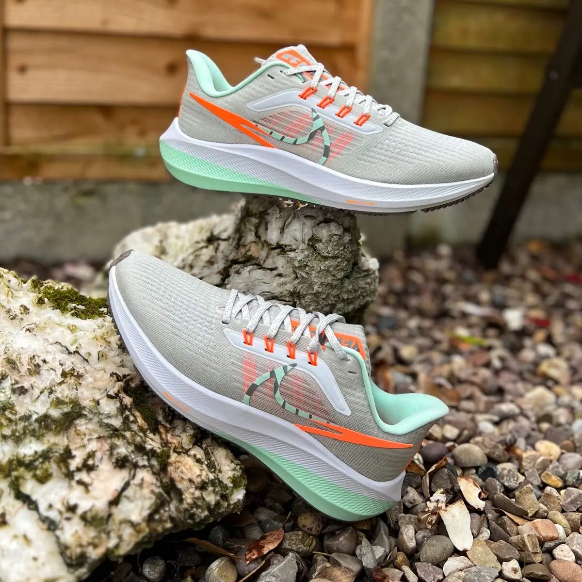 Chi tiết Nike Pegasus Premium