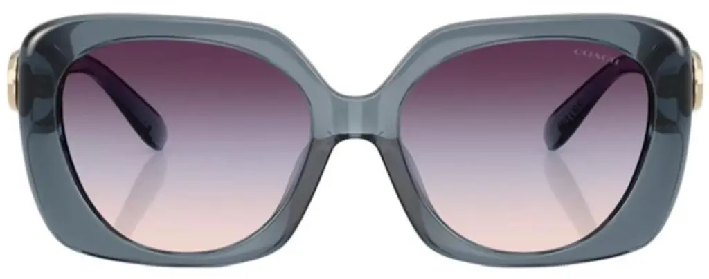 Kính Coach Sunglasses 'Grey' 0HC8422U-5871U7